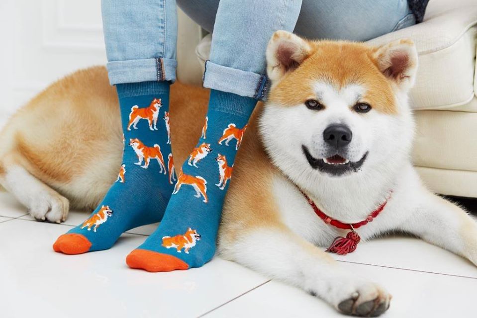 Почему стоит покупать носки оптом