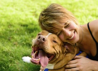 CBD Oil For Dogs With Cancer