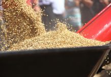 Этапы очистки зерна