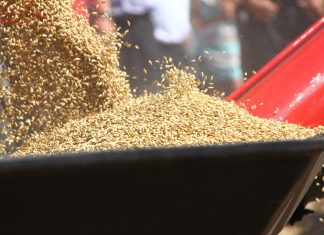 Этапы очистки зерна