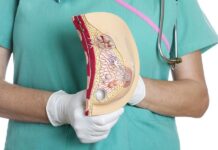 Как часто нужно делать обследование груди