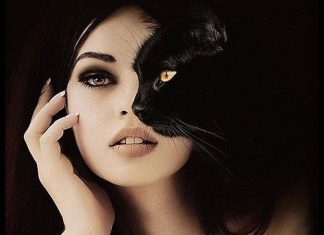 Древний Паразит, Сексуальность и Загадка Красоты Кошек: Научный Взгляд на Феномен