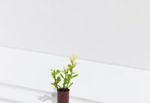 Бассейн для дачи: Как создать оазис релаксации на вашем участке