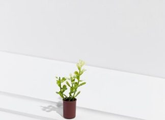 Бассейн для дачи: Как создать оазис релаксации на вашем участке