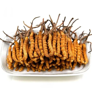 Кордицепс: Чудо-гриб с удивительными свойствами