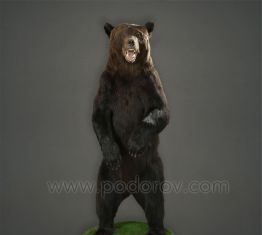 Чучело медведя: Искусство таксидермии и культурное значение