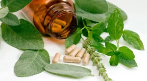 Обзор натуральных успокоительных средств: травы, масла и добавки