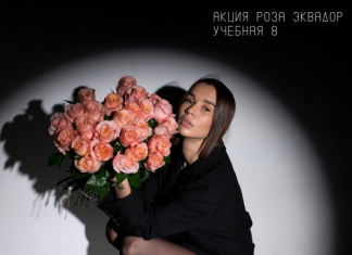 Розы на любой праздник: универсальный символ красоты и элегантности