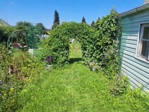 Подборка вещей для совершенного отдыха в коттедже