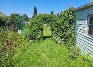 Подборка вещей для совершенного отдыха в коттедже