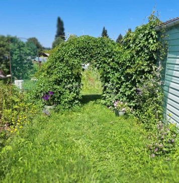 Подборка вещей для совершенного отдыха в коттедже