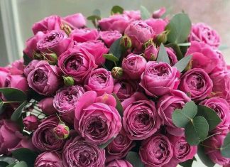 Доставка букета цветов: как выбрать, заказать и сделать идеальный подарок