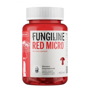 Мухоморный микродозинг: особенности, польза и преимущества