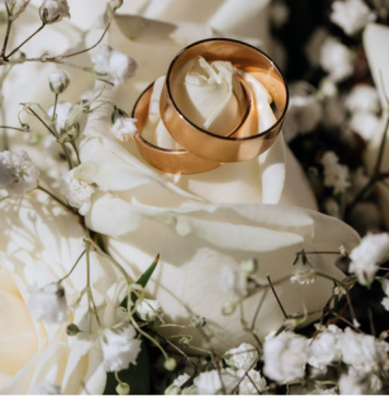 Проведение и организация свадьбы: От мечты к незабываемому торжеству