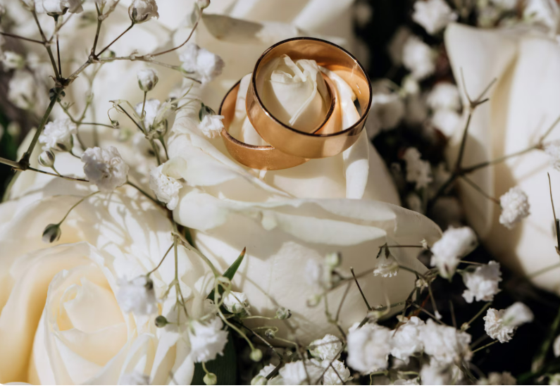 Проведение и организация свадьбы: От мечты к незабываемому торжеству