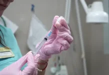 Чтобы ваш питомец не болел: не забудьте про прививки