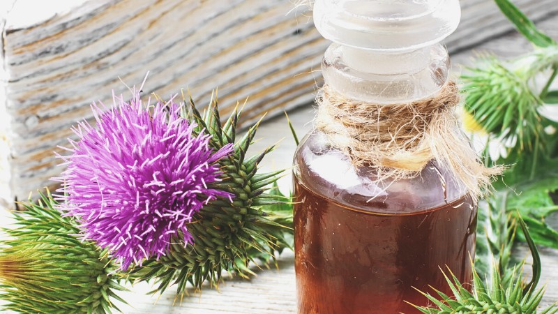 Таблетки для печени: защита и восстановление главного фильтра организма