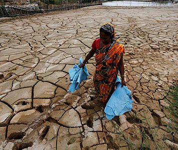 Усиление жары – нарастание рисков
