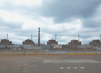 Запорожской АЭС предложили особый статус
