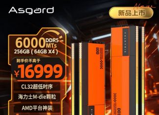 Asgard представила новый комплект памяти DDR5 с ценой, как у RTX 5090