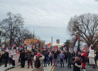 Более ста человек пришли к Белому дому на митинг против политики Трампа