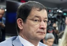 Дмитрия Полянского назначили постпредом России при ОБСЕ в Вене