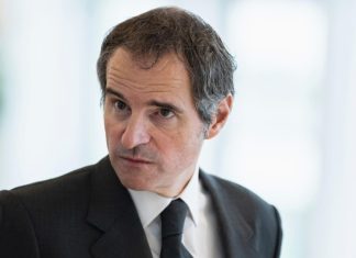 Гросси может посетить Москву в марте 2026 года