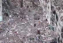 Группа военных ВСУ сдалась в плен в Димитрове