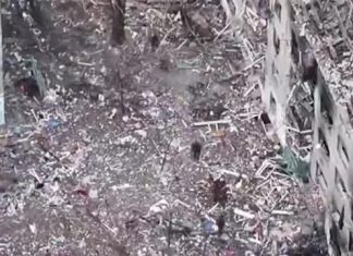 Группа военных ВСУ сдалась в плен в Димитрове