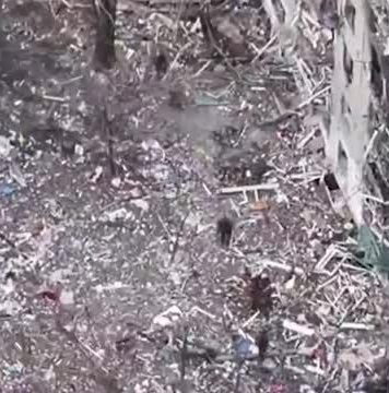 Группа военных ВСУ сдалась в плен в Димитрове