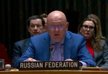 Небензя: киевский режим сделал Украину разменной монетой в противостоянии с РФ