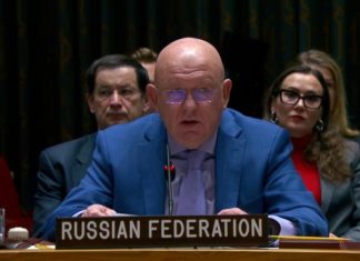 Небензя: киевский режим сделал Украину разменной монетой в противостоянии с РФ