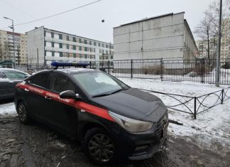 Охранница школы в Петербурге, пропустившая ученика с ножом, признала вину