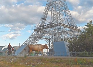 Скудное питание и плохое здоровье россияне передают по наследству