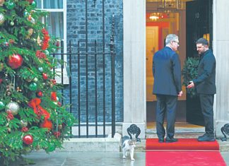 Союзники США не будут вынуждать Украину согласиться на американский мирный план