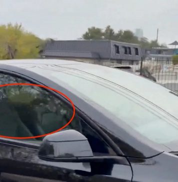 Tesla наконец-то начала тестировать свои роботакси без страхующего водителя