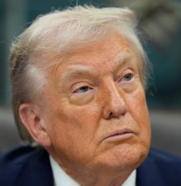 Трамп заявил, что «свободная экономическая зона» в Донбассе будет работать