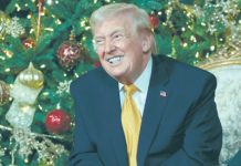 Зеленский и Трамп показали друг другу карты