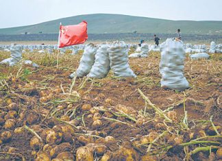 2. Россия вернула себе статус нетто-импортера сельскохозяйственной продукции