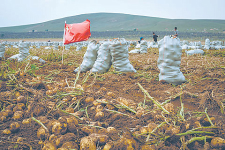 2. Россия вернула себе статус нетто-импортера сельскохозяйственной продукции