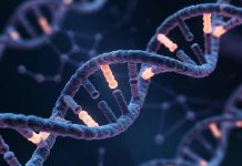 DeepMind представила AlphaGenome: ИИ для предсказания влияния «тёмной материи» ДНК на гены человека