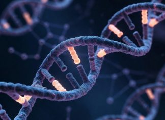 DeepMind представила AlphaGenome: ИИ для предсказания влияния «тёмной материи» ДНК на гены человека