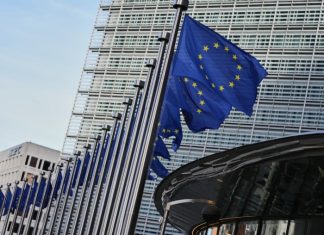 ЕС готов поддержать «Совет мира», если его мандат ограничится Газой