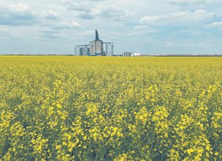 Китай предлагает альтернативу тарифным войнам