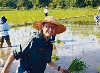 Константин Ремчуков: Субсидии Китая на программу трейд-ин для потребительских товаров составили 559 млрд долл