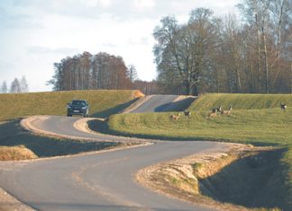 Литва планирует создать военный полигон на границе с Белоруссией