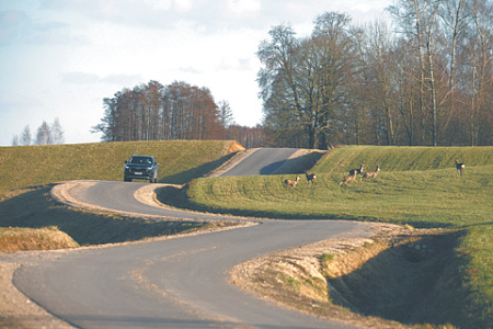 Литва планирует создать военный полигон на границе с Белоруссией
