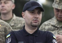 Мирошник: назначение Буданова главой офиса Зеленского продиктовано Лондоном