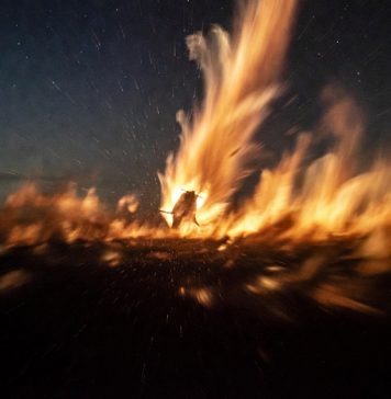 Новые покрытия «Венеры-Д» позволят снизить массу спускаемых аппаратов и подтвердить их работоспособность в атмосфере при скорости 11 км/с