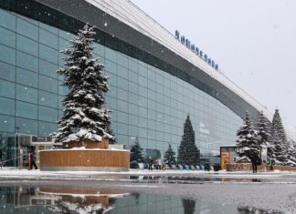 Повторный аукцион по продаже Домодедово пройдет 29 января с понижением цены